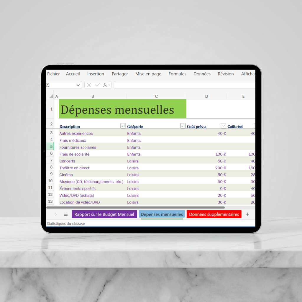 Rapport sur le Budget Mensuel – Modèle de Gestion Financière